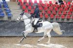 7 PONEY Elite GP