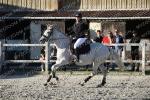 CAVALIERE HORS CONCOURS