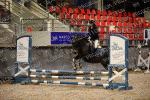 05 fev MARCQ EN BAROEUL cso Club Poney