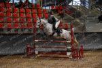 EP7 PONEY ELITE GP