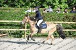 05 mai ROUBAIX cso Club Poney