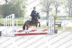 01 JEU PONEY 3 MIXTE