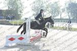 01B VEN PONEY 3 MIXTE