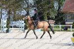 03 JEU PONEY 2 IMPOSE