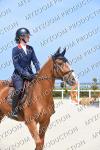 05 JEU PONEY 1 IMPOSE