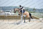 07B-DIMANCHE PONEY ELITE C