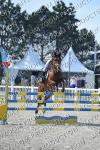 11B-DIMANCHE PONEY ASP2D