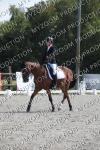 EP09 PONEY 1 GRAND PRIX