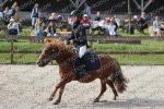 23 JUIN 2024 Campagneules les grandes Cso Club Poney