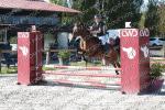 23 Juin 2024 PHALEMPIN Cso Club Poney