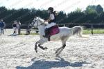 EP 002 PONEY 3