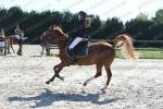 EP 004 PONEY 2