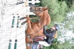REMISE DES PRIX
