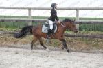 EP18_PONEY 4