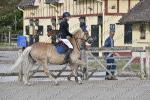 04 PISTE 4 BOISEE