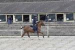 04 Club poney minime