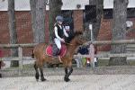 08 Club Poney B Benjamin