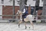 CLUB PONEY ELITE