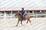 CLUB PONEY MINIME