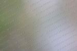 LP1_0821.JPG