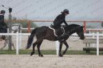 LP1_0874.JPG