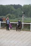 01 PONEY A ELITE