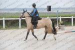 02 PONEY 3