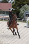 04 PONEY 2
