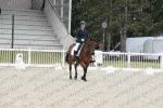 01 DRESSAGE