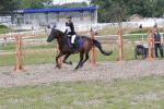 06 PONEY 2