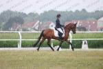 TEST DRESSAGE VENDREDI