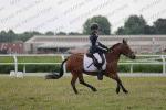 poney 3