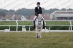 poney 1