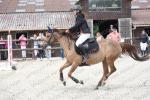 EP11 AS PONEY 2