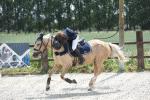EP10 PONEY ELITE D
