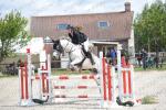 EP09 PONEY ELITE