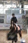 09 Nov AFGAND CSO Club et poney