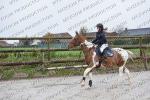 11 Nov MASNIERES CSO Club et poney