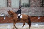 01 FEVRIER DRESSAGE BONDUES FOREST