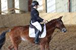 15 FEVRIER JEUMONT DRESSAGE CLUB PONEY