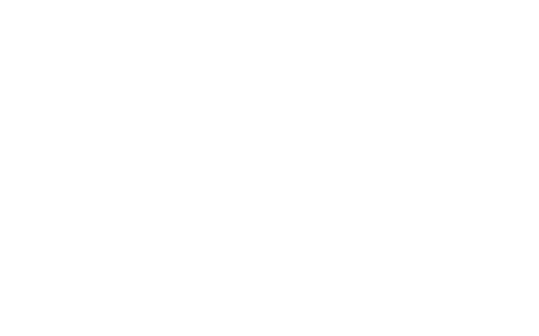 Logo MyZoom